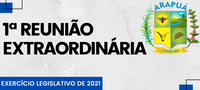 1ª REUNIÃO EXTRAORDINÁRIA DO EXERCÍCIO LEGISLATIVO DE 2021 